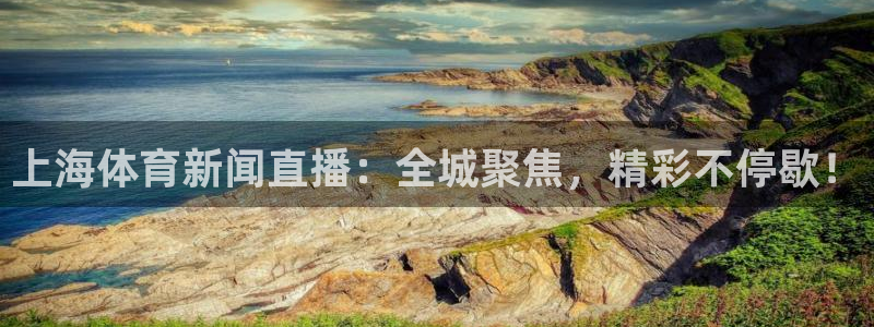 绿茵直播体育下载：上海体育新闻直播：全城聚焦，精彩不停歇！