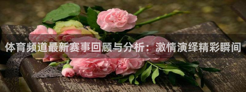 绿茵体育app手机版官方下载：体育频道最新赛事回顾与分析：激情演绎精彩瞬间