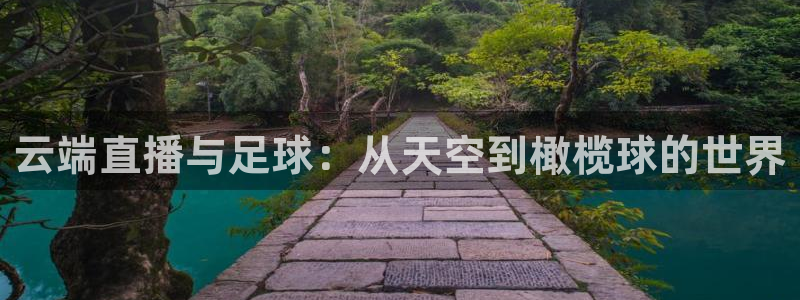 绿茵足球视频：云端直播与足球：从天空到橄榄球的世界