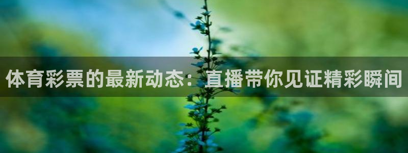 足球直播绿茵直播：体育彩票的最新动态：直播带你见证精彩瞬间
