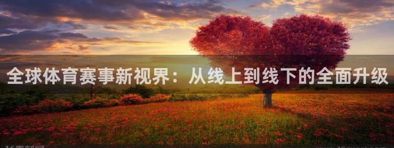 绿茵体育直播：全球体育赛事新视界：从线上到线下的全面升级