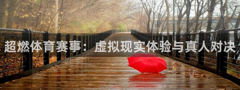 绿茵体育直播(无插件)：超燃体育赛事：虚拟现实体验与真人对决