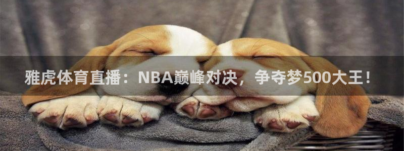 绿茵体育app下载：雅虎体育直播：NBA巅峰对决，争夺梦500大王！
