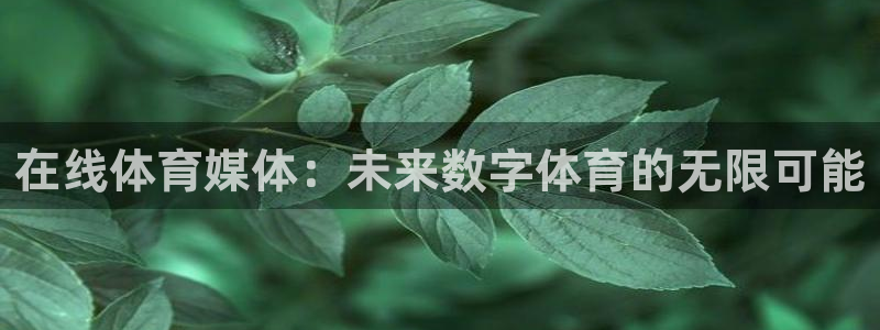 足球直播绿茵体育：在线体育媒体：未来数字体育的无限可能