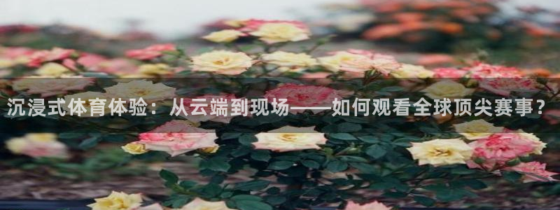 绿茵直播足球比赛在线观看：沉浸式体育体验：从云端到现场——如何观看全球顶尖赛事？