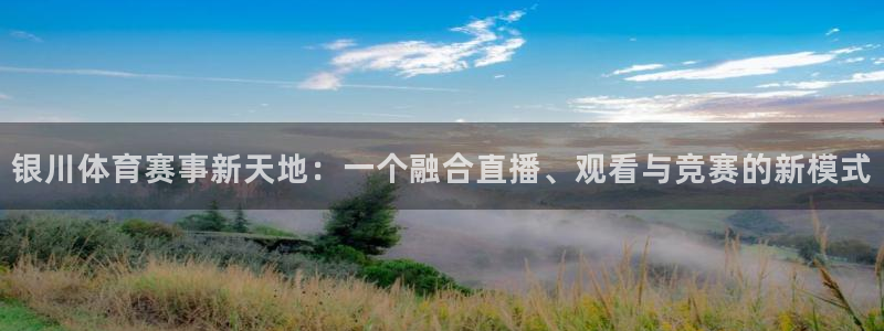 东京绿茵足球：银川体育赛事新天地：一个融合直播、观看与竞赛的新模式