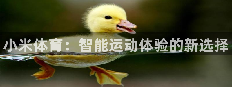 绿茵足球高清直播：小米体育：智能运动体验的新选择