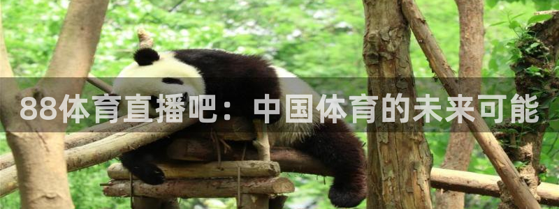 足球绿茵直播：88体育直播吧：中国体育的未来可能