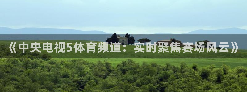 cba在线绿茵直播：《中央电视5体育频道：实时聚焦赛场风云》
