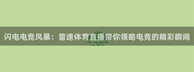 绿茵足球直播免费观看：闪电电竞风暴：雷速体育直播带你领略电竞的精彩瞬间
