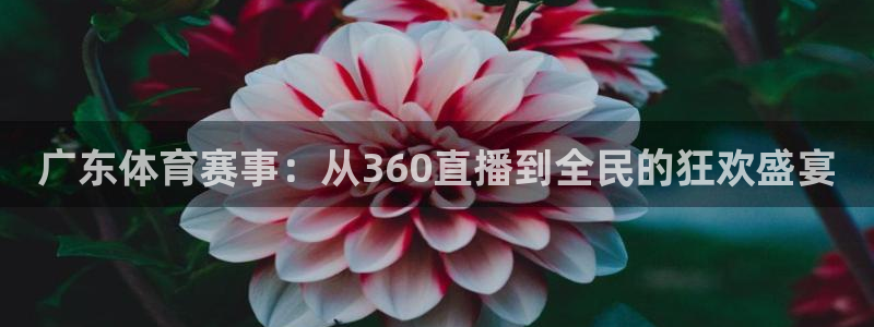 绿茵足球直播：广东体育赛事：从360直播到全民的狂欢盛宴